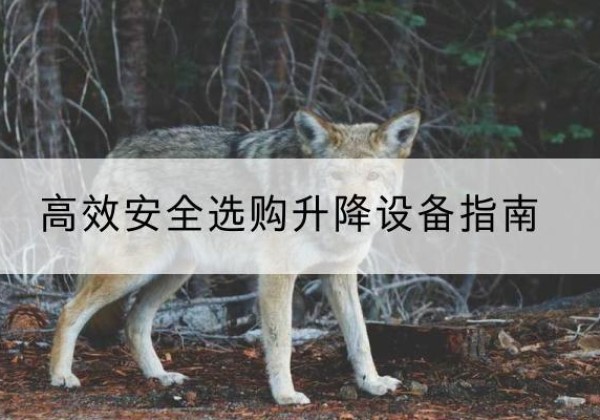铜鼓升降货梯厂家推荐-*安全选购升降设备指南