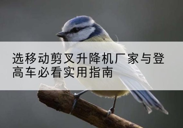 铜鼓电动升降机厂家-选移动剪叉升降机厂家与登高车必看实用指南