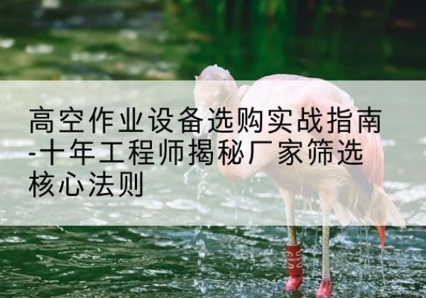 铜鼓剪叉式升降机厂家-高空作业设备选购实战指南-十年工程师揭秘厂家筛选核心法则